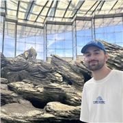 Profesor de apoyo especializado en Programación orientada a objetos, lenguajes Java, Apex